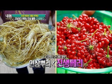 인삼 위에 자라는 꽃, 진생베리! [내 몸 사용설명서] 115회 20160812