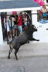 ESTE VÍDEO PUEDE DAÑAR SU SENSIBILIDAD - SUSTOS Y COGIDAS  bullfighting festival Crazy bull attack people #318