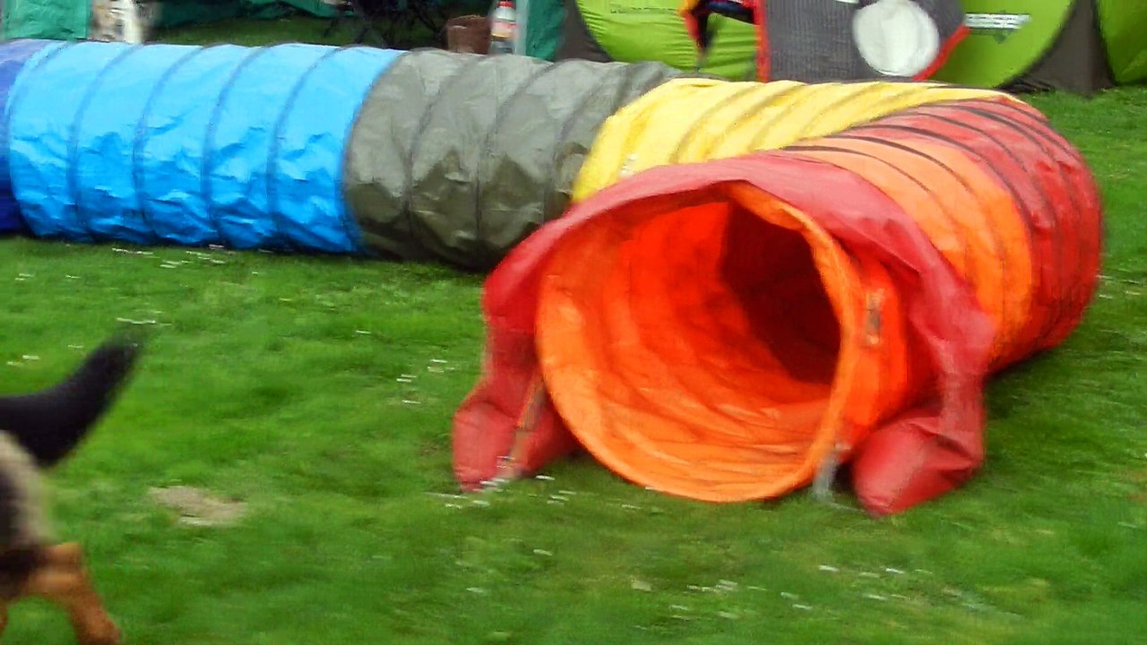 Gajus-A2-RL 2017-04-01