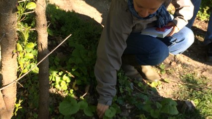 Atelier de cuisine de plantes sauvages avec le CPIE