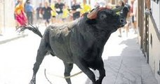ESTE VÍDEO PUEDE DAÑAR SU SENSIBILIDAD - SUSTOS Y COGIDAS  bullfighting festival Crazy bull attack people #317