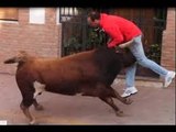 ESTE VÍDEO PUEDE DAÑAR SU SENSIBILIDAD - SUSTOS Y COGIDAS  bullfighting festival Crazy bull attack people #319