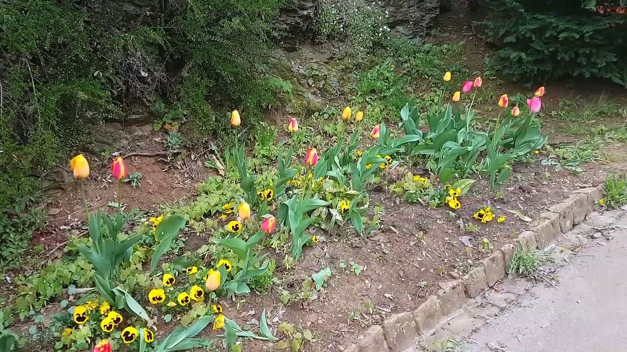 Projekt_04-28 rumelange und senseokaffeemaschine