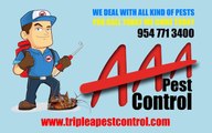 AAA PEST CONTROL SOUTH FLORIDA