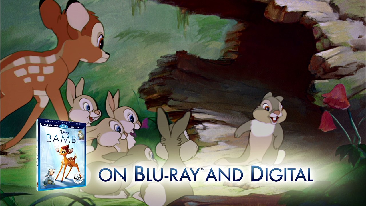 Bambi Aniversary