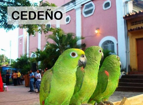 El hijo del gobernador del estado Bolívar - Municipios del Estado Bolívar