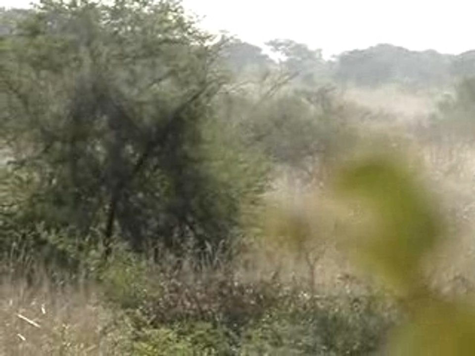 MOV00629