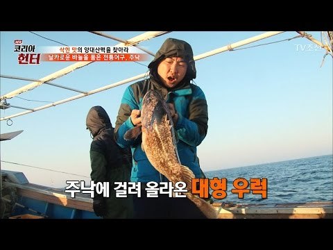 바다에서 올라온 거대 생선! [뉴 코리아 헌터] 48회 20170501