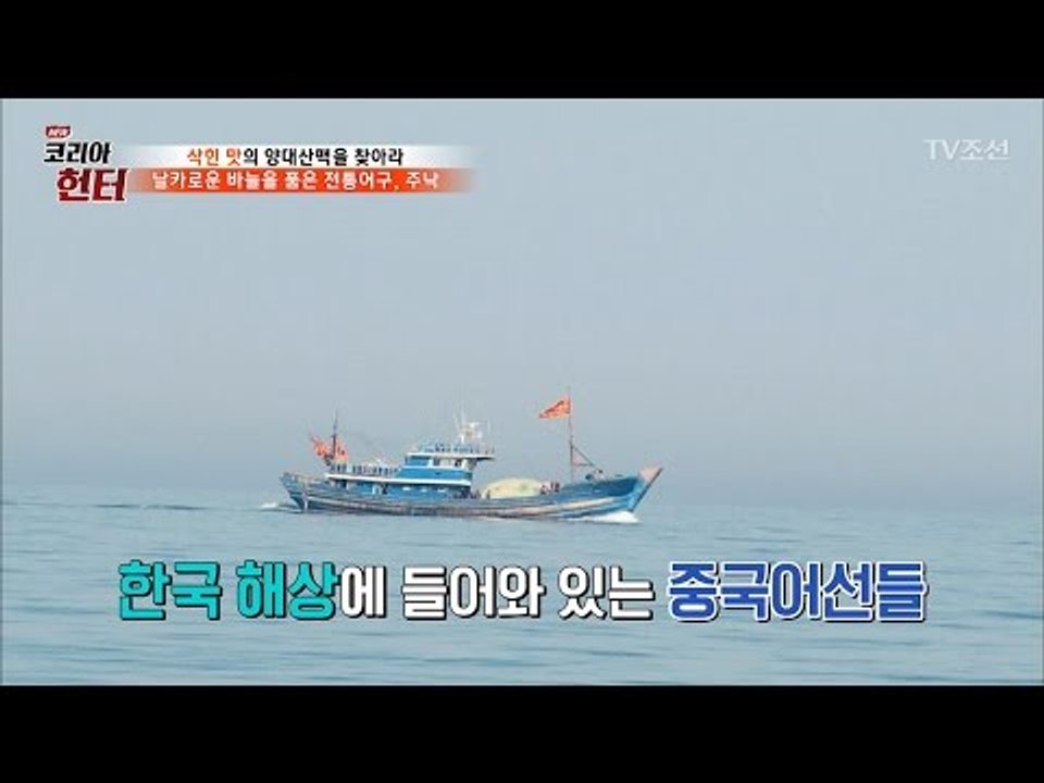 중국어선 때문에 바다에서 사라진 ‘이것’은? [뉴 코리아 헌터] 48회 20170501