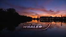 Boston Whaler 350 Outrage
