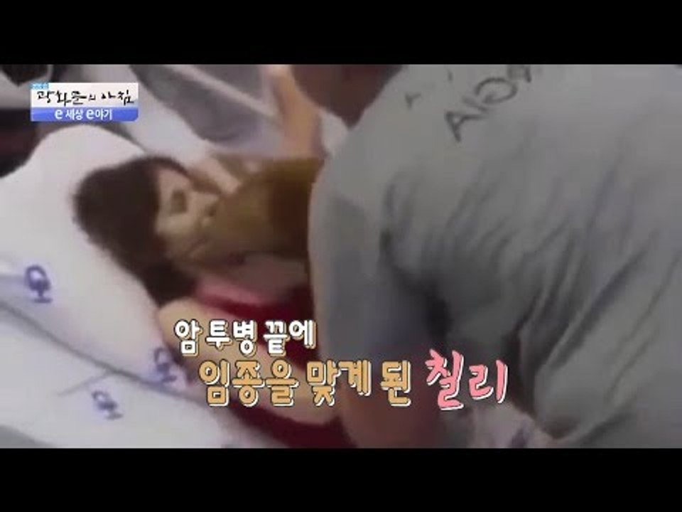 눈물 없이는 볼 수 없는 주인과 반려견의 마지막 인사 [광화문의 아침] 291회 20...