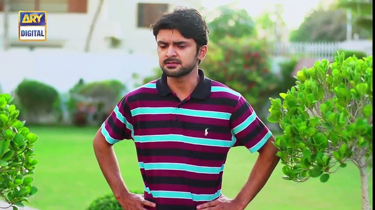 Main Mehru Hoon Episode 191