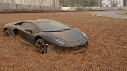 Biz Ancak Rüyasını Görürüz Bu Arabaların Adamların Yaptığına Bak