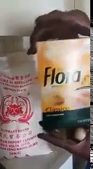 Le vrai riz en plastique du vrai riz