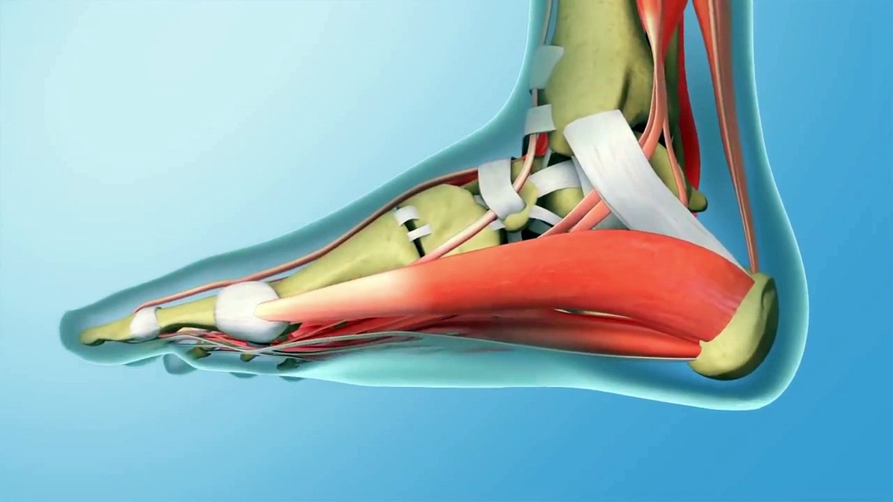 Foot care for plantar fasciitis and heel pain