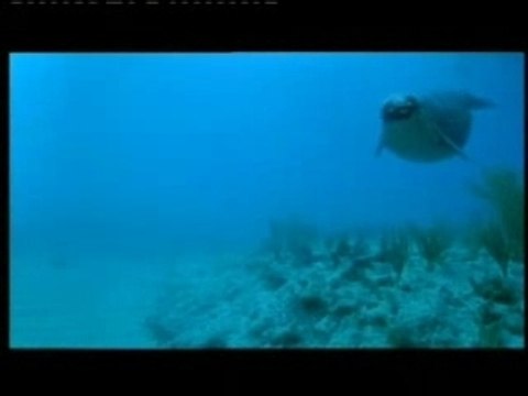 Sur la terre des monstres disparus