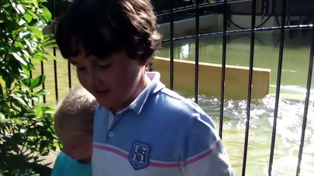 la PUNITION au Parc d'Attraction Fantasialand sur le roller coaster Taron