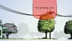 This Arbor Day, Consumers Energy Encourages Michigan Residents to Plant the Right Tree in the Right Place | Consumers En