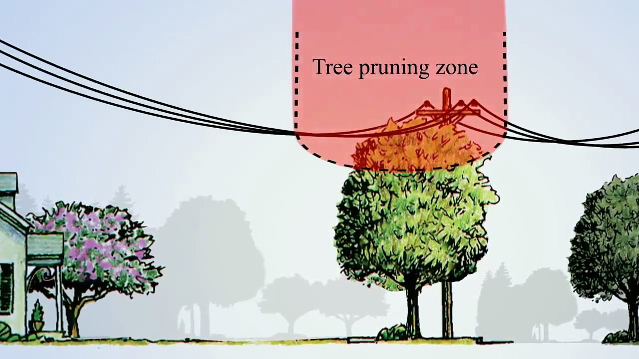 This Arbor Day, Consumers Energy Encourages Michigan Residents to Plant the Right Tree in the Right Place | Consumers En