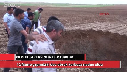Pamuk tarlasında oluşan dev obruk korkuttu