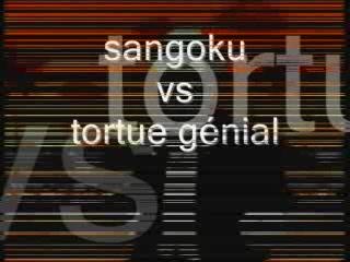 sangoku vs tortue génial