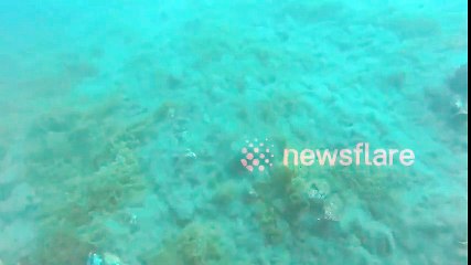 Así se vive un terremoto de magnitud 5,7 cuando estás en el fondo del océano