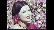 Aina - Mujhe Dil Se Na Bhulana - Mehnaz and Alamgir - Nadeem and Shabnam