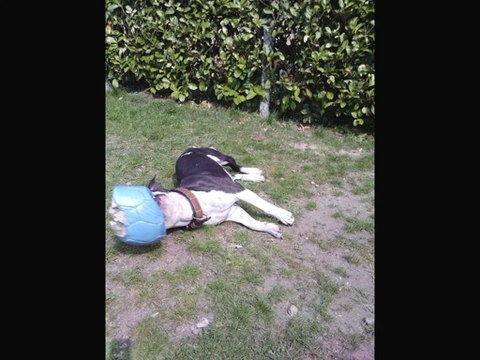 Tu me manque ma belle repose en paix