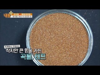 가장 작은 통곡물 ‘테프’의 힘! 혈당을 관리한다!  [내 몸 플러스] 18회 20160807