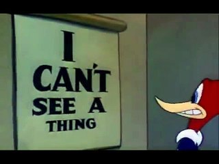 woody woodpecker - i can't see a thing