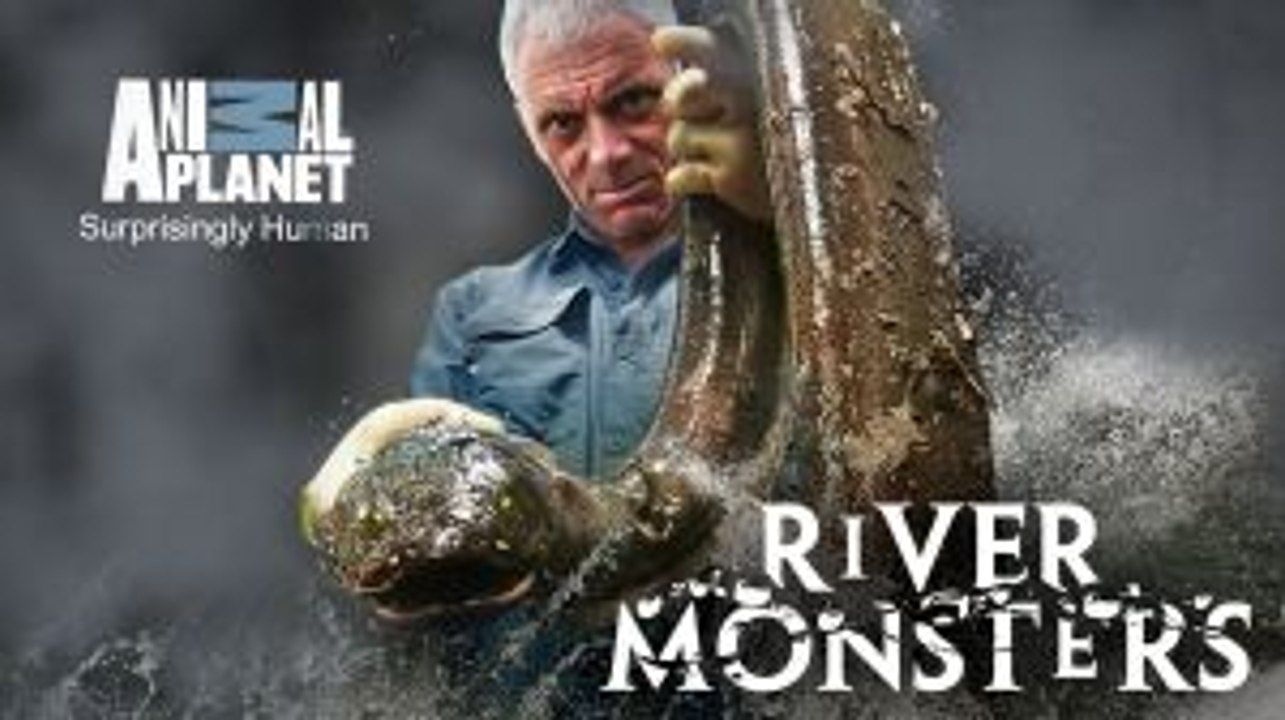FullSeries "River Monsters" :::s9xe2::: [[ Ice Cold Killer ]] Streaming HQ Dailymation