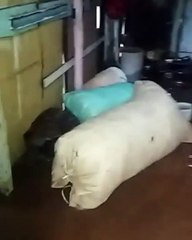 La dificil situacion que reportan desde Sevica Mao inundaciones