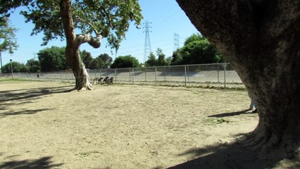 Squirrel Saves His Nuts