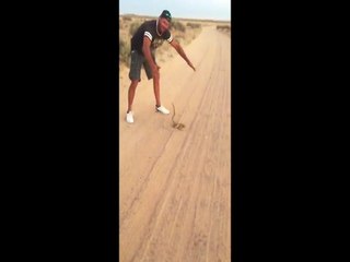 Man Takes on Snake