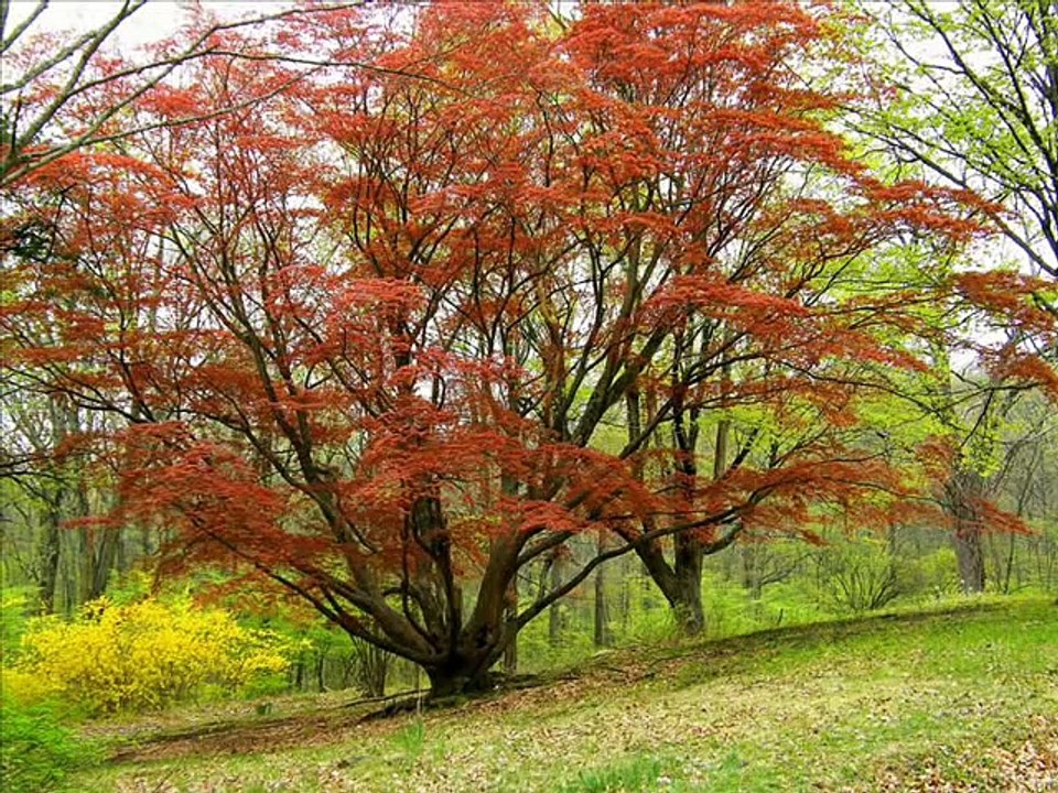 Glenn John  - Tu Jo Nahin - Woh Lamhe
