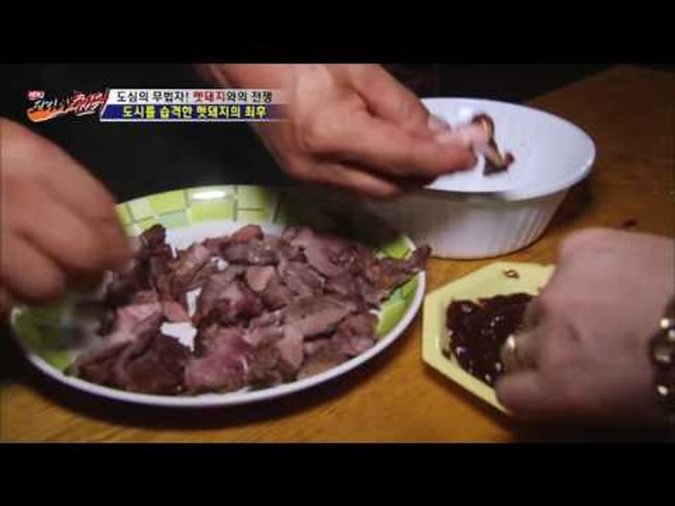 환상의 맛! 자연산 멧돼지 구이! [뉴 코리아 헌터] 9회 20160803