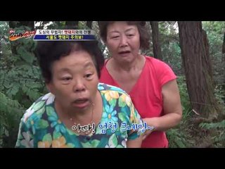포획틀에 갇힌 멧돼지의 엄청난 힘! [뉴 코리아 헌터] 9회 20160803