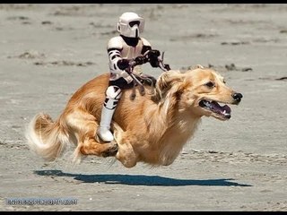 2017 Yeni Harika Çiftlerin Birbirine Yaptığı Şakalar  ,Sevgililerden Failler,Gülmeme Challange