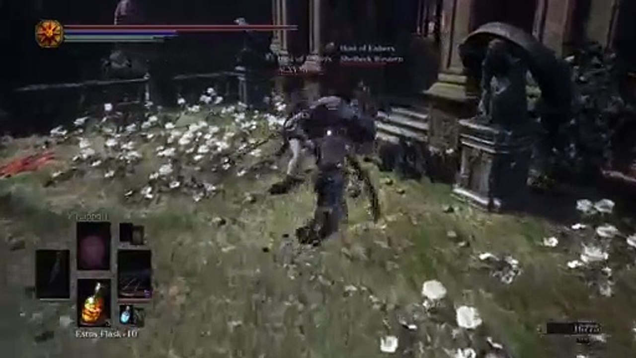 (DS3)'TheOldCrow'(SL123)NG+6 (32)