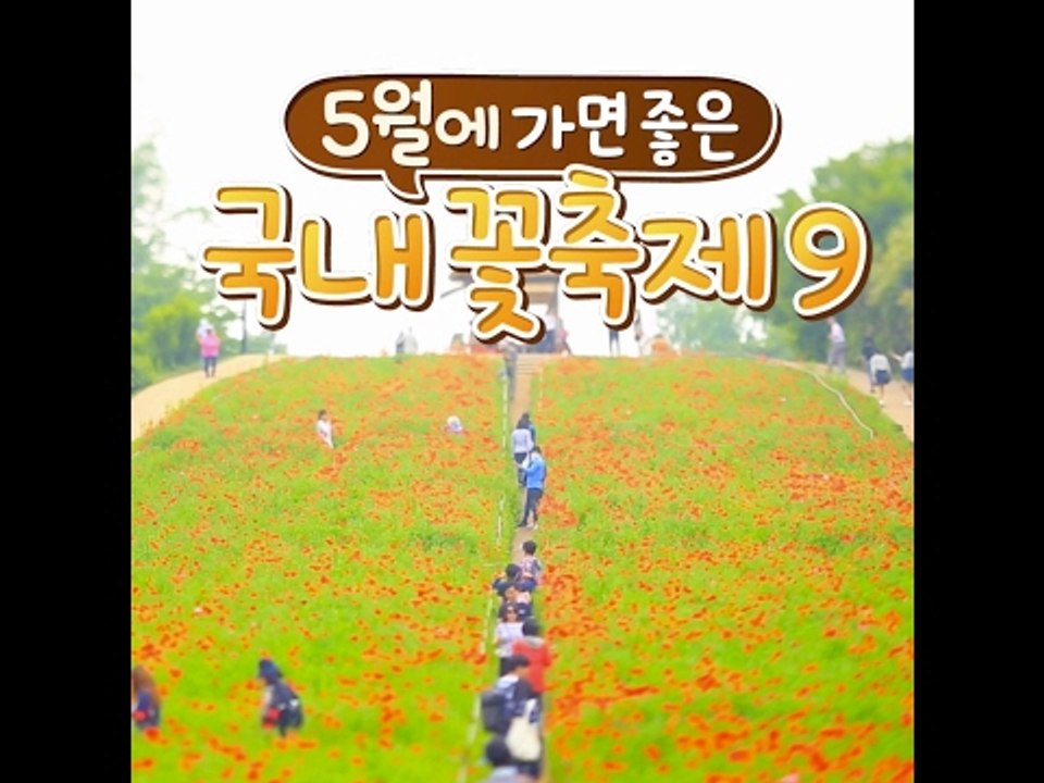 [9 Flower Festival On March In Korea] 5월에 가기 좋은...