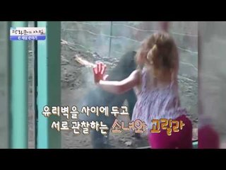 주인 발 냄새에 고통을 느끼는 앵무새 [광화문의 아침] 287회 20160802