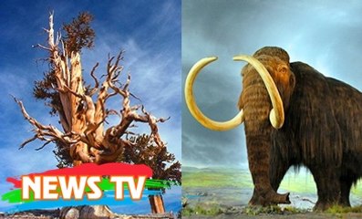 Top 6 sự thật lịch sử khiến bạn mất hoàn toàn khái niệm về thời gian