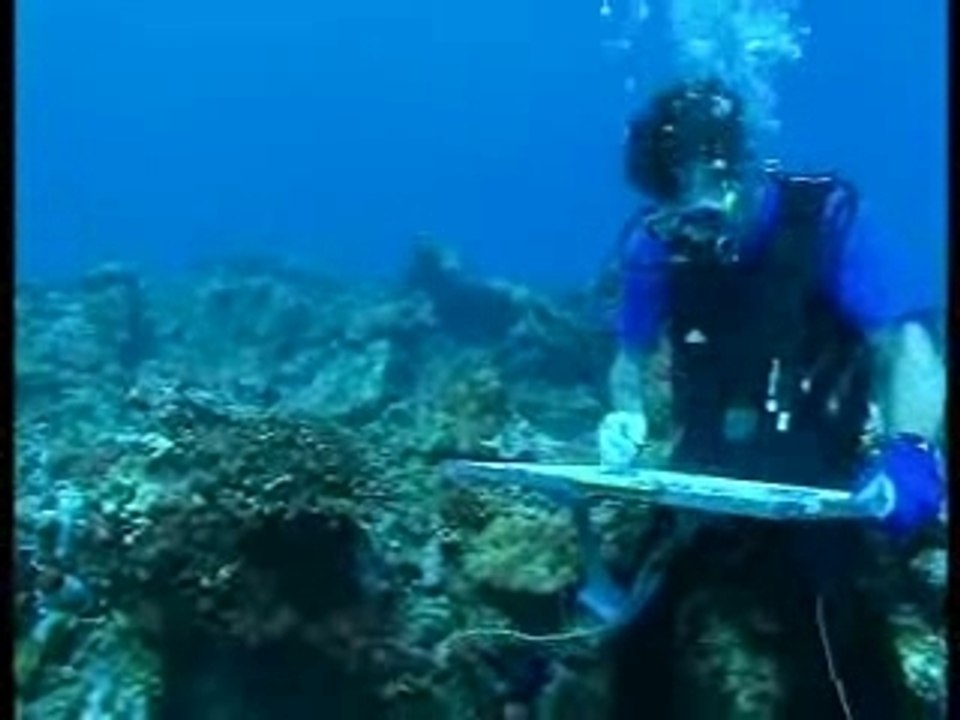 Peintre sous la mer