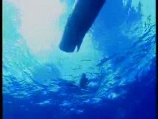 La route des Cachalots