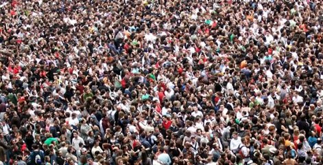 ఈ చెట్టు ఆకులలో బంగారం ఉంటుందంట ! Interesting Facts in Telugu Episode-10 Amazing Facts