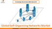 Global Self-Organizing Networks Market Share