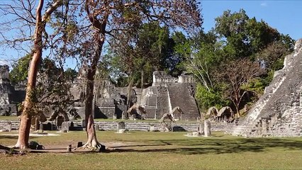 10 tips para vivir mejor