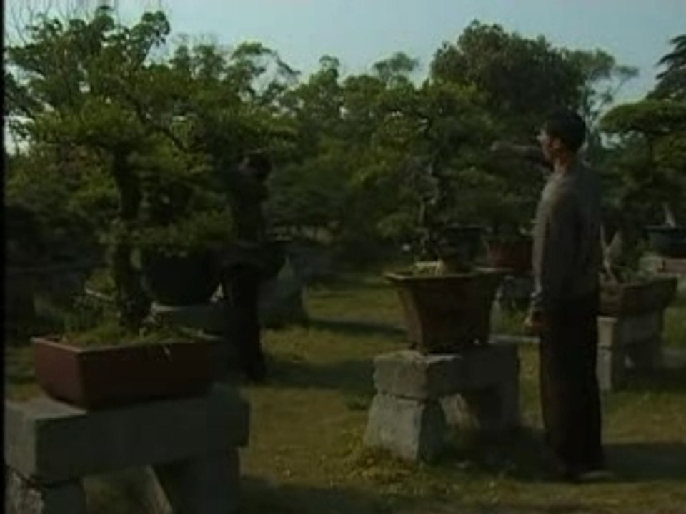 Carnets de Chine : Les jardins