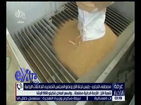 غرفة الأخبار | شعبة الأرز: الأزمة الحالية مفتعلة .. وسعر الكيلو 550 قرشاَ