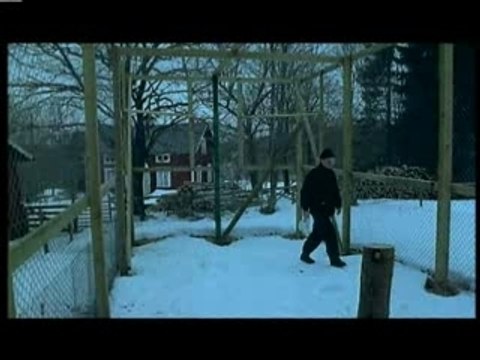 Lars Erik et les hiboux